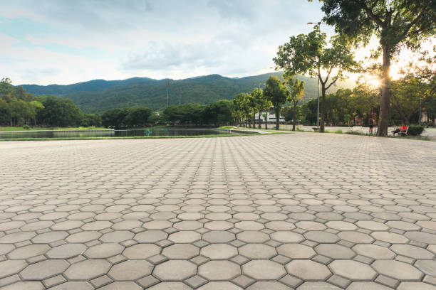 Best Commercial Driveway Pavers  in Grand Mound, WA